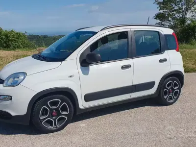 Usata Fiat Panda City Life 70 CV (51 kW) 2021 Bianco Utilitaria