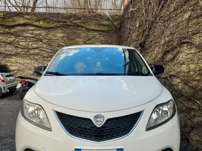Usata Lancia Ypsilon 85 CV (62 kW) 2013 Bianco Utilitaria