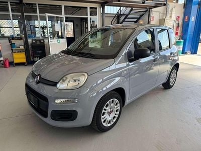 Usata Fiat Panda Easy 69 CV (50 kW) 2018 Grigio Utilitaria