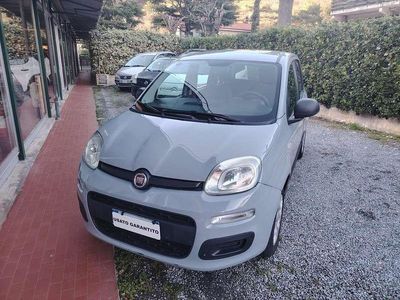 Usata Fiat Panda Easy 69 CV (50 kW) 2019 Utilitaria