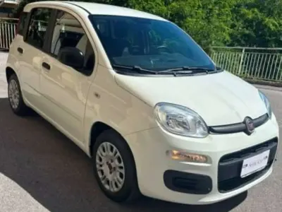 Usata Fiat Panda 69 CV (50 kW) 2021 Bianco Utilitaria