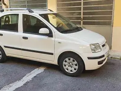 Usata Fiat Panda Dynamic 69 CV (50 kW) 2011 Bianco pastello Utilitaria