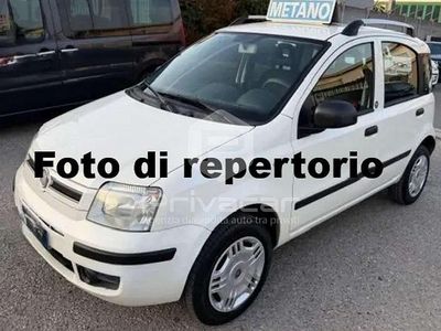 Usata Fiat Panda Dynamic 77 CV (56 kW) 2012 Bianco Utilitaria