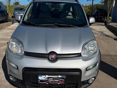 Usata Fiat Panda 4x4 S 74 CV (54 kW) 2014 Grigio Utilitaria