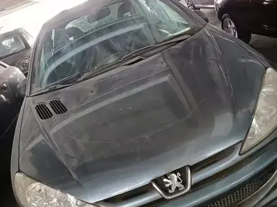 Usata Peugeot 206 68 CV (50 kW) 2007 Grigio Berlina