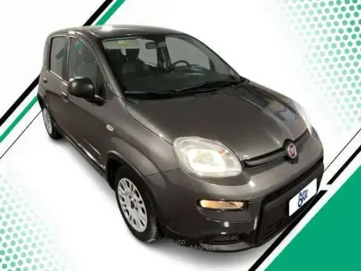 Usata Fiat Panda