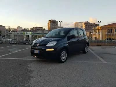 Usata Fiat Panda Connect 69 CV (50 kW) 2020 Blu/azzurro Utilitaria