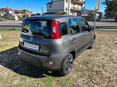 Usata Fiat Panda City Life 70 CV (51 kW) 2022 Grigio Utilitaria
