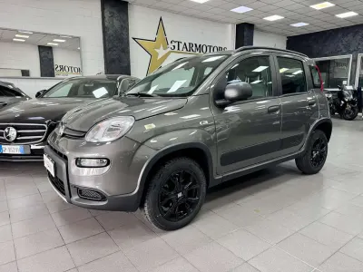 Usata Fiat Panda 4x4