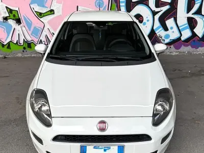 Usata Fiat Punto Evo Active 77 CV (56 kW) 2012 Bianco Utilitaria