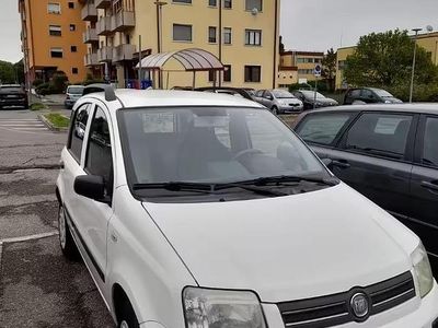 Begagnad Fiat Panda 77 HK (56 kW) 2009 Vit Halvkombi