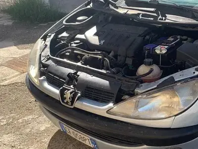Usata Peugeot 206