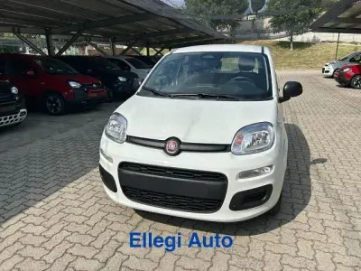 Nuova Fiat Panda Icon 69 CV (50 kW) 2026 Bianco Utilitaria