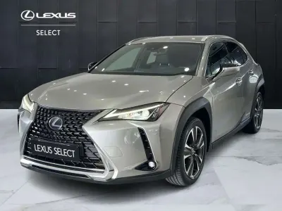 Usata Lexus UX 250h Executive Line 184 CV (135 kW) 2019 Grigio SUV