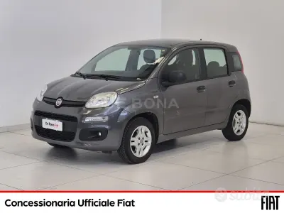 Usata Fiat Panda Easy 69 CV (50 kW) 2019 Grigio Utilitaria