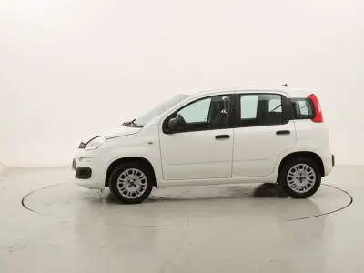 Usata Fiat Panda 69 CV (50 kW) 2020 Bianco Utilitaria