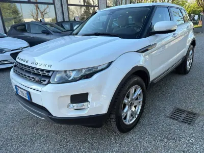 Usata Land Rover Range Rover evoque Pure 150 CV (110 kW) 2013 Bianco SUV