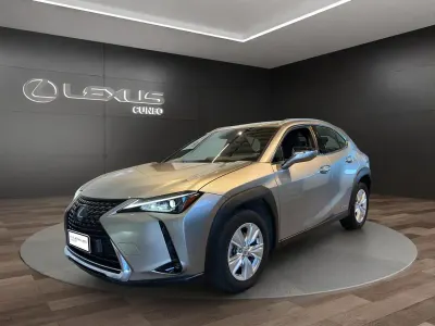 Usata Lexus UX 250h
