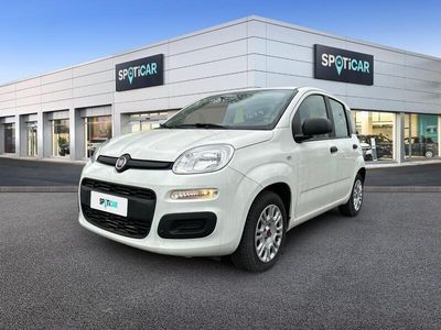 usata Fiat Panda 1.2 69cv E6 Easy