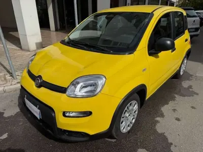 Usata Fiat Panda S 69 CV (50 kW) 2024 Giallo Utilitaria