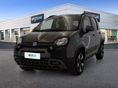 usata Fiat Panda Cross 1.0 FireFly 70cv S&S Hybrid