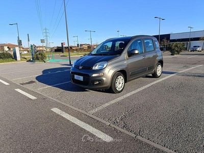 Usata Fiat Panda Pop 69 CV (50 kW) 2020 Grigio Utilitaria