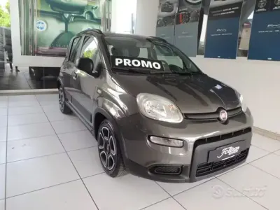 Usata Fiat Panda City Life 69 CV (50 kW) 2021 Grigio Utilitaria