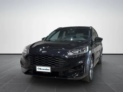 Usata Ford Kuga