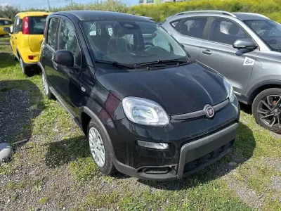 Usata Fiat Panda