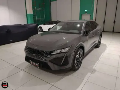 Usata Peugeot 408