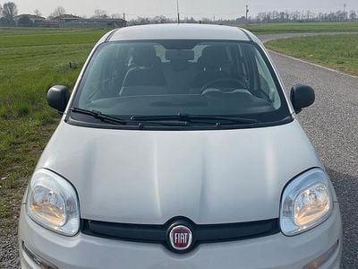 Usata Fiat Panda Young 69 CV (50 kW) 2016 Giallo Utilitaria