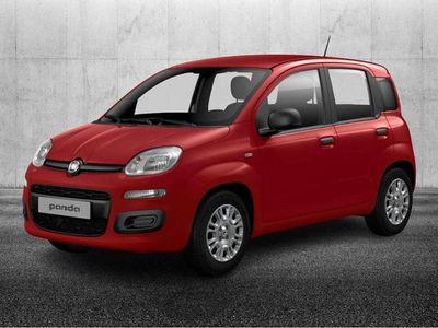 Usata Fiat Panda S 69 CV (50 kW) 2024 Rosso Utilitaria