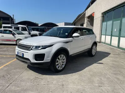 Usata Land Rover Range Rover evoque HSE 150 CV (110 kW) 2018 Bianco SUV