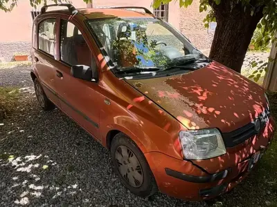 Usata Fiat Panda 60 CV (44 kW) 2010 Utilitaria