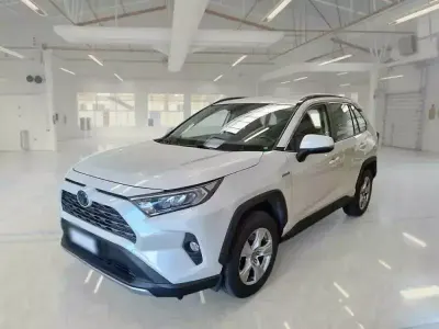 Usata Toyota RAV4 Hybrid