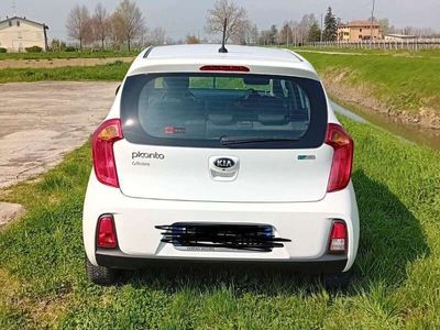 usata Kia Picanto Active Full optional