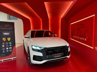 Usata Audi Q8