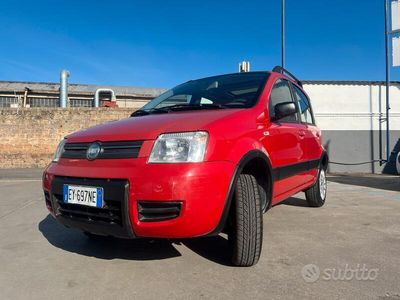 Usata Fiat Panda 4x4 60 CV (44 kW) 2006 Rosso Utilitaria
