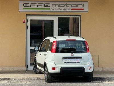 usata Fiat Panda 1.0 Visibile in Sede - PRONTA CONSEGNA