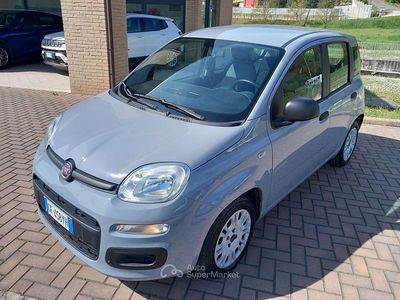 Usata Fiat Panda 69 CV (50 kW) 2021 Grigio Utilitaria