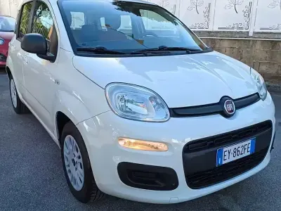 Usata Fiat Panda Easy 69 CV (50 kW) 2015 Bianco Utilitaria