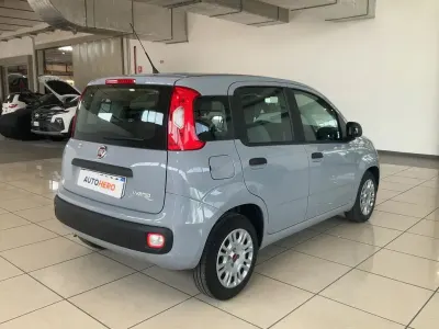 Usata Fiat Panda 70 CV (51 kW) 2021 Grigio Utilitaria