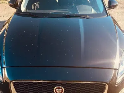 Usata Jaguar E-Pace 150 CV (110 kW) 2019 SUV