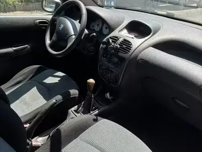 Usata Peugeot 206