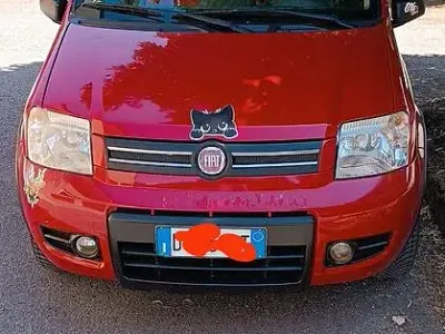 Usata Fiat Panda 60 CV (44 kW) 2010 Utilitaria