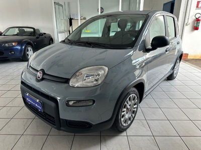 Fiat Panda Cross