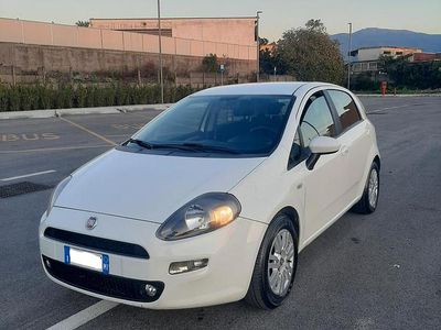 Usata Fiat Punto Lounge 85 CV (62 kW) 2014 Grigio Utilitaria