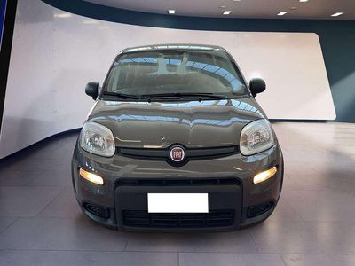 Usata Fiat Panda S 69 CV (50 kW) 2023 Other Berlina
