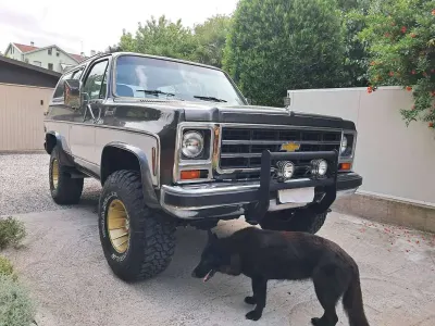 Usata Chevrolet Blazer 500 CV (367 kW) 1978 Marrone SUV