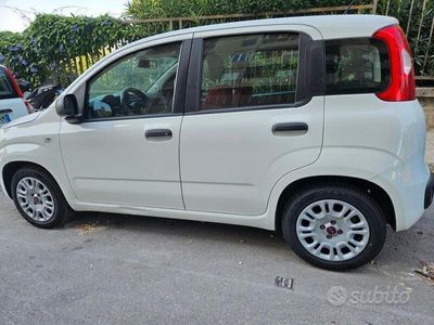 usata Fiat Panda 3ª serie - 2015